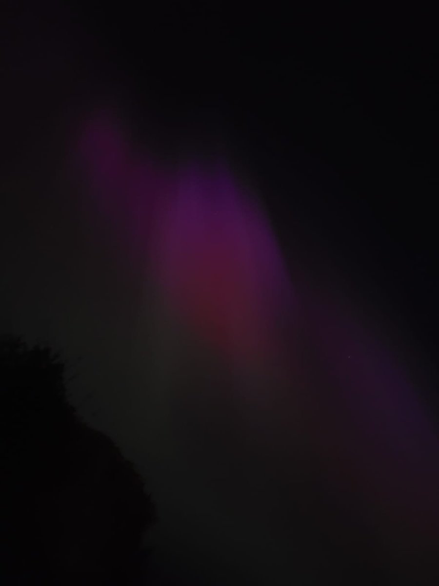 Dr. Nigel McKelvey tweet media