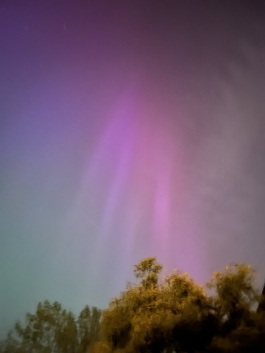 Clare Williams tweet media