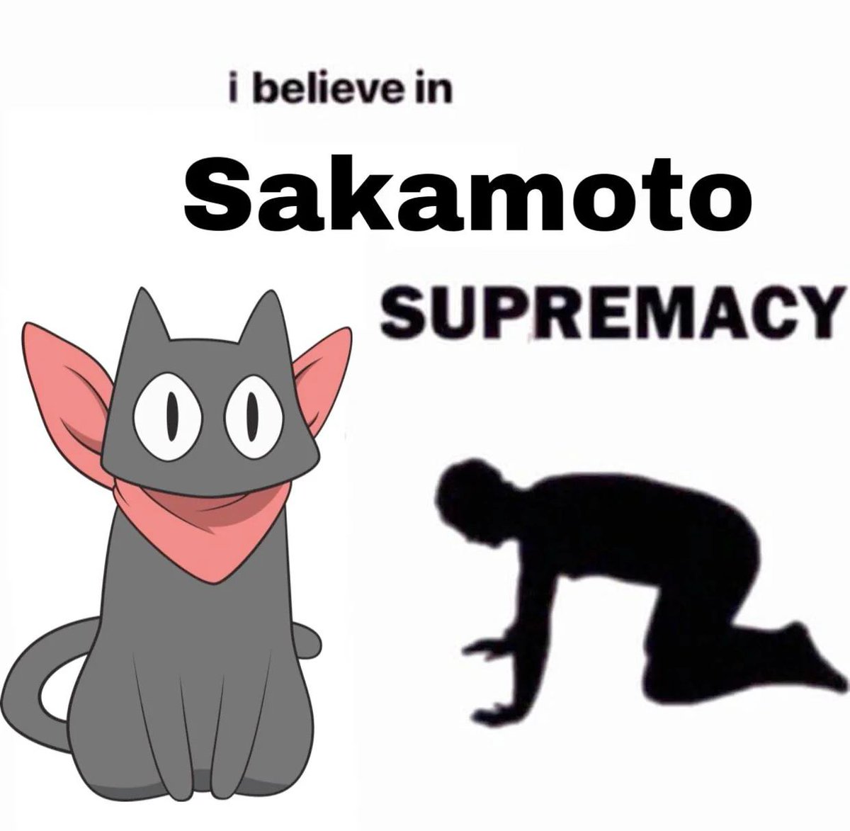 Sakamoto Cat CTO tweet media
