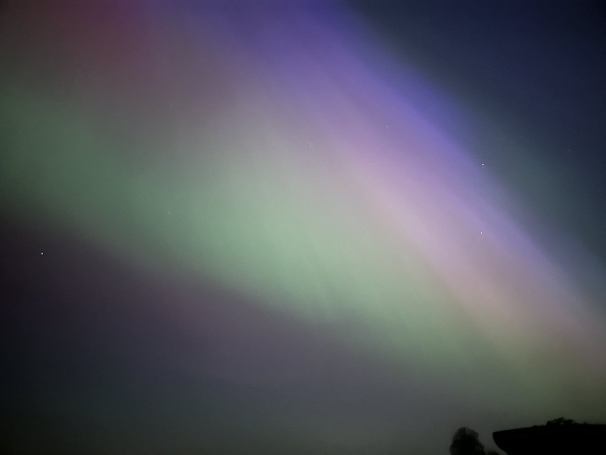 Jack Salt tweet media