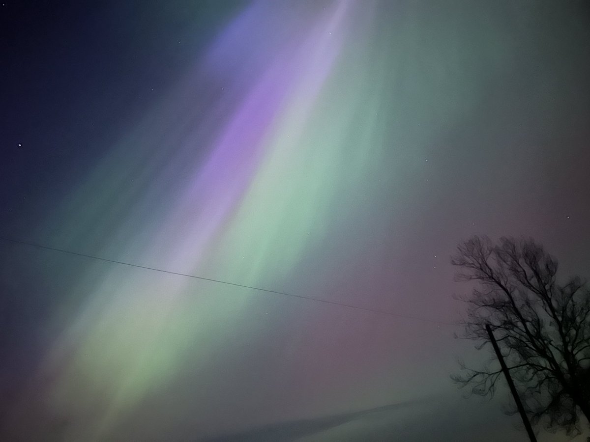 Jack Salt tweet media