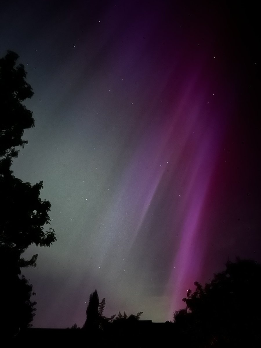 Tony Girling tweet media