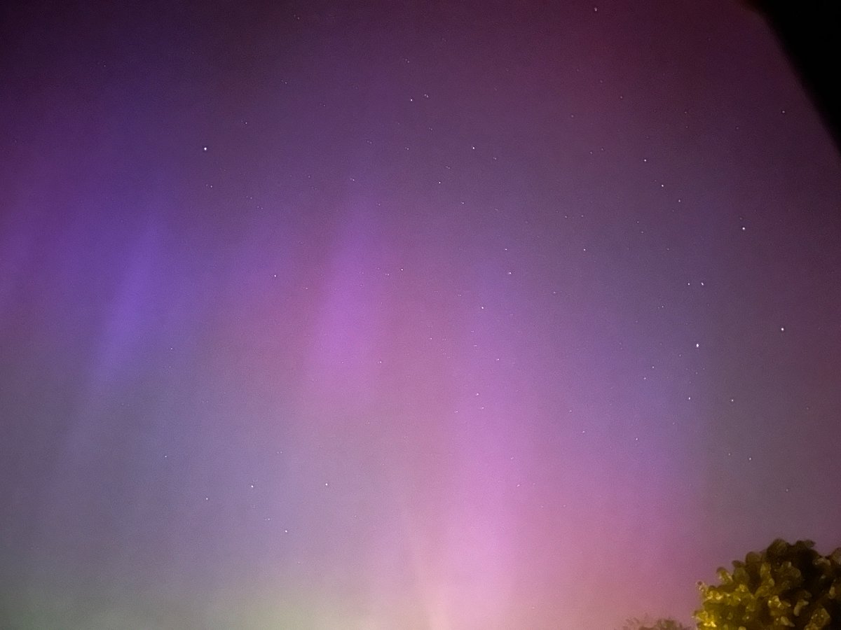 Elena Pérez Rioja tweet media