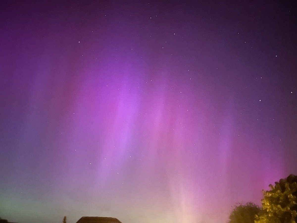 Elena Pérez Rioja tweet media