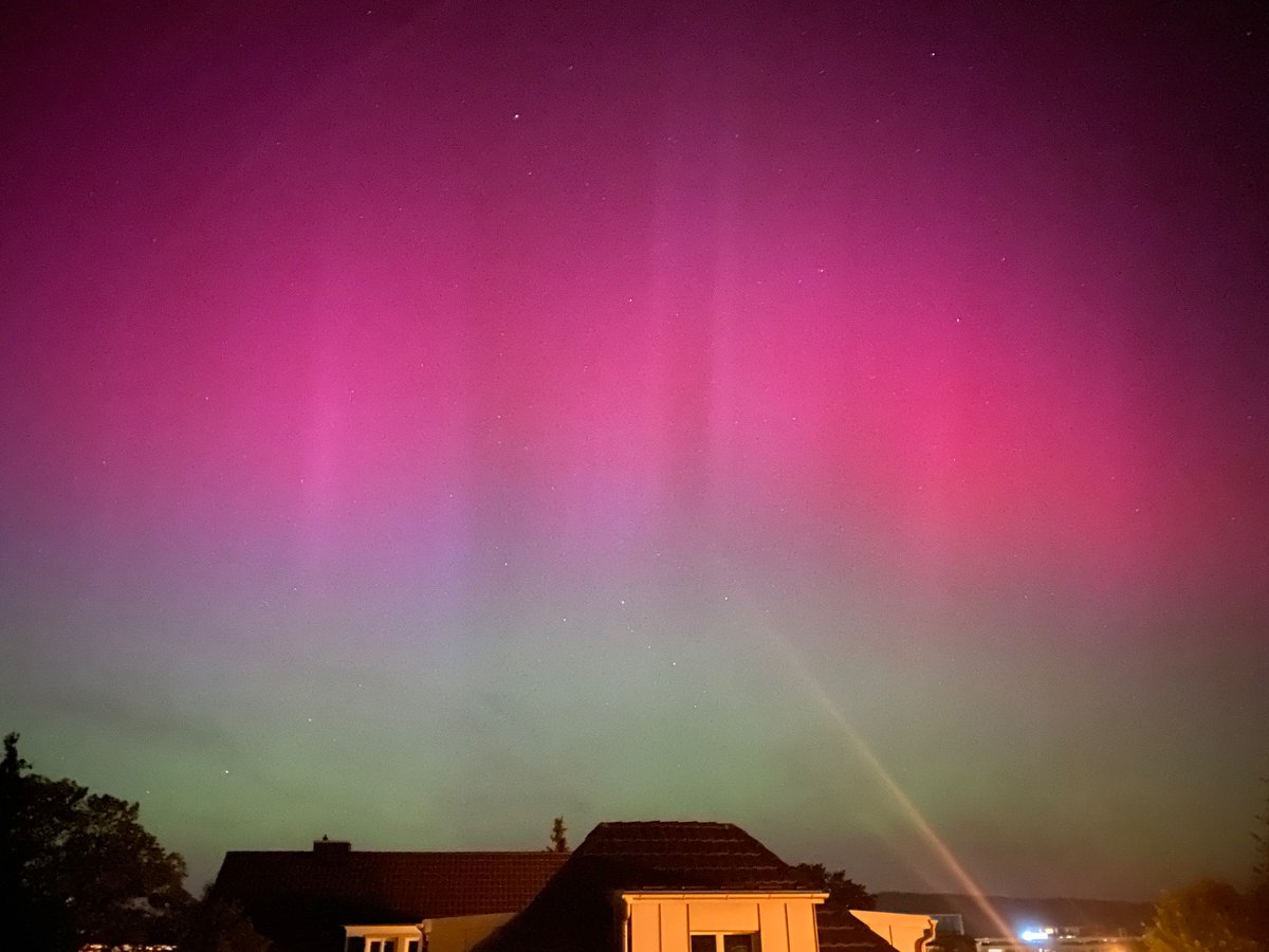 Elena Pérez Rioja tweet media