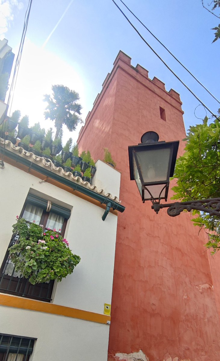 Attended my first SETAC conference in #Seville where I presented the results from the first chapter of my PhD! Seville was an incredibly vibrant city with lots to discover in its alleyways and colourful corners. Sunny days and scientific gatherings are always rewarding #SETAC2024