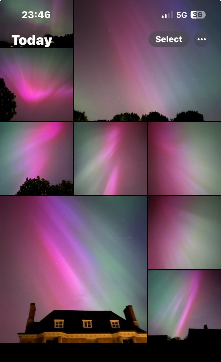 Kaye Dwight tweet media