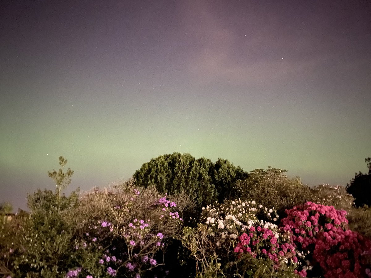 #aurora in north west london… bonkers!