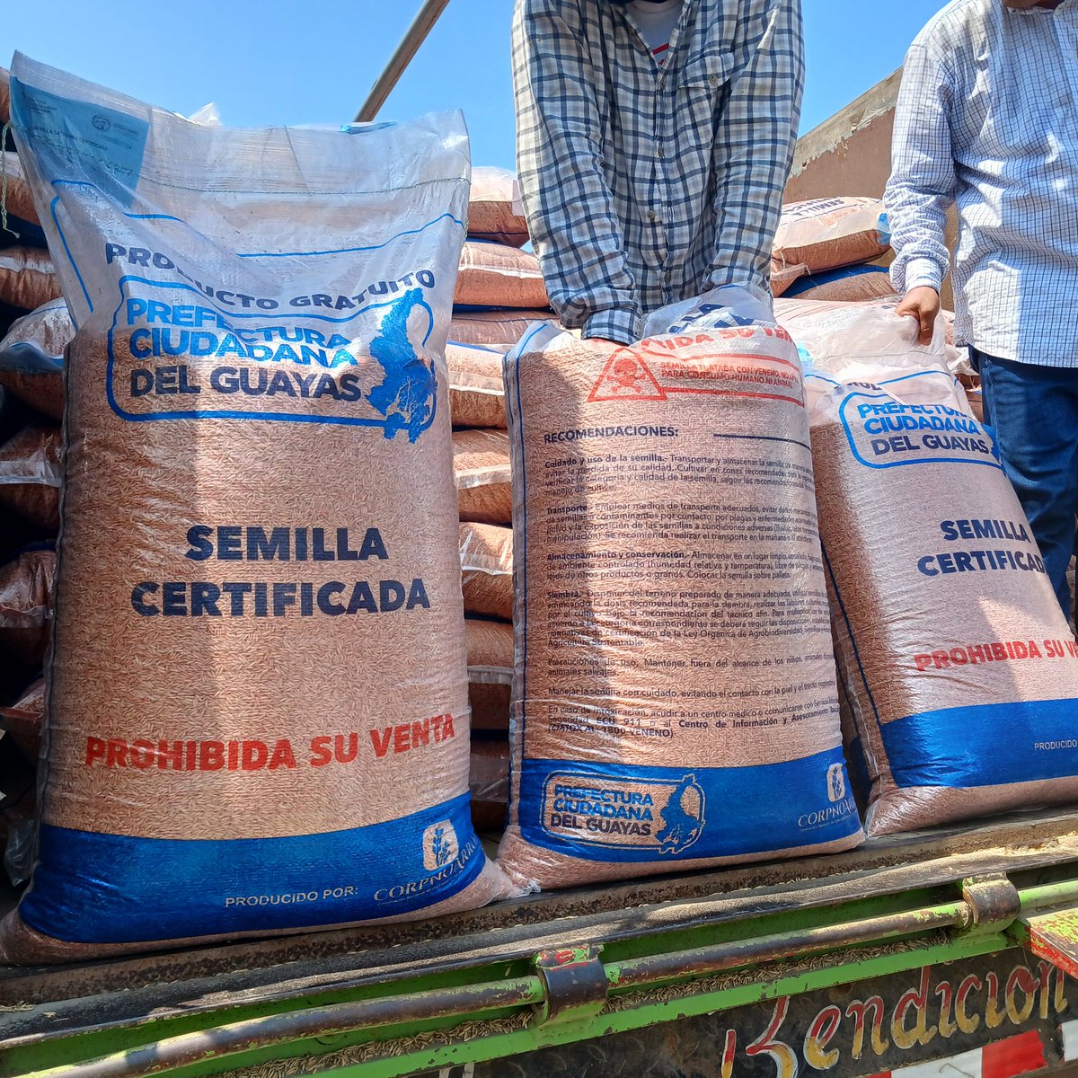 ¡Guayas se mueve hacia la productividad!💪 Realizamos la entrega de 384 sacos de semillas certificadas a 136 productores de arroz, en el cantón Samborondón. De esta manera, promovemos el desarrollo del sector agrícola en la provincia. 🌾 #1AñoDeCambio