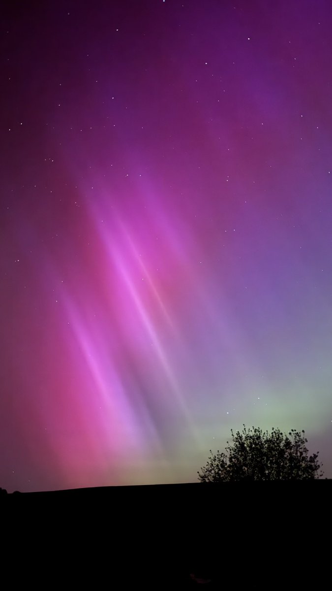 Man sieht die Polarlichter ja richtig krass
