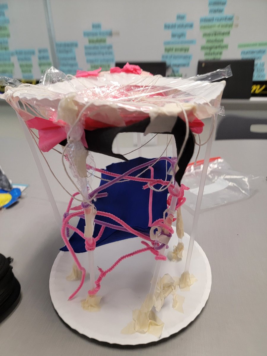 Quynh Tran (@tranq084) on Twitter photo The spider web design not only catches flies but also captures our <a href="/MrsSadler5/">Mrs. Sadler</a> <a href="/Megan_Britton15/">Megan Britton</a> admiration for creativity. Way to showcase your talent for engineering and design, 4th graders <a href="/BlantonBulldogs/">Blanton Elementary</a> #CFBSTEMProud <a href="/triciabadillo/">Dr. Tricia Badillo</a> <a href="/Coach_Blue20/">Toshia Blue</a> <a href="/christy_clain/">Christy McClain</a> The spider web design not only catches flies but also captures our <a href="/MrsSadler5/">Mrs. Sadler</a> <a href="/Megan_Britton15/">Megan Britton</a> admiration for creativity. Way to showcase your talent for engineering and design, 4th graders <a href="/BlantonBulldogs/">Blanton Elementary</a> #CFBSTEMProud <a href="/triciabadillo/">Dr. Tricia Badillo</a> <a href="/Coach_Blue20/">Toshia Blue</a> <a href="/christy_clain/">Christy McClain</a>
