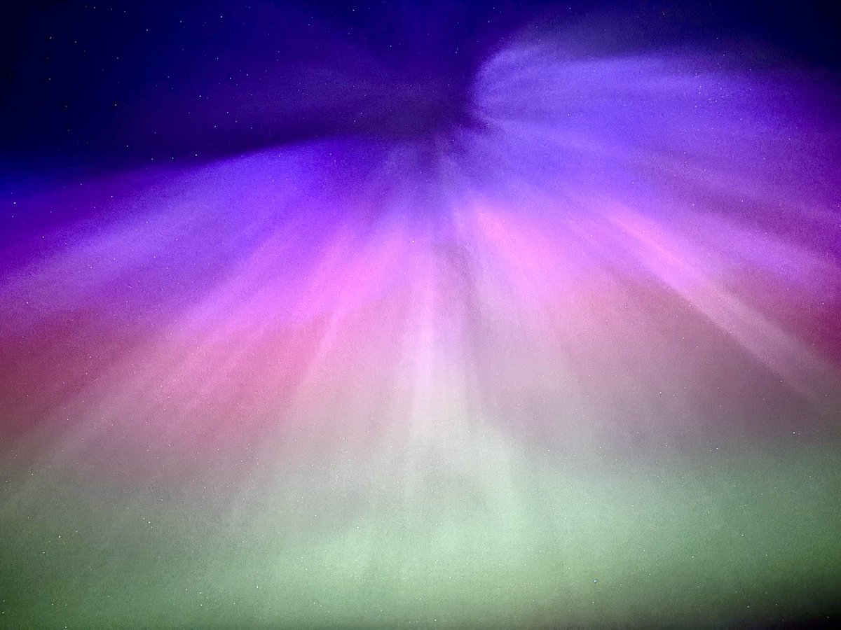 Nick Gresswell tweet media