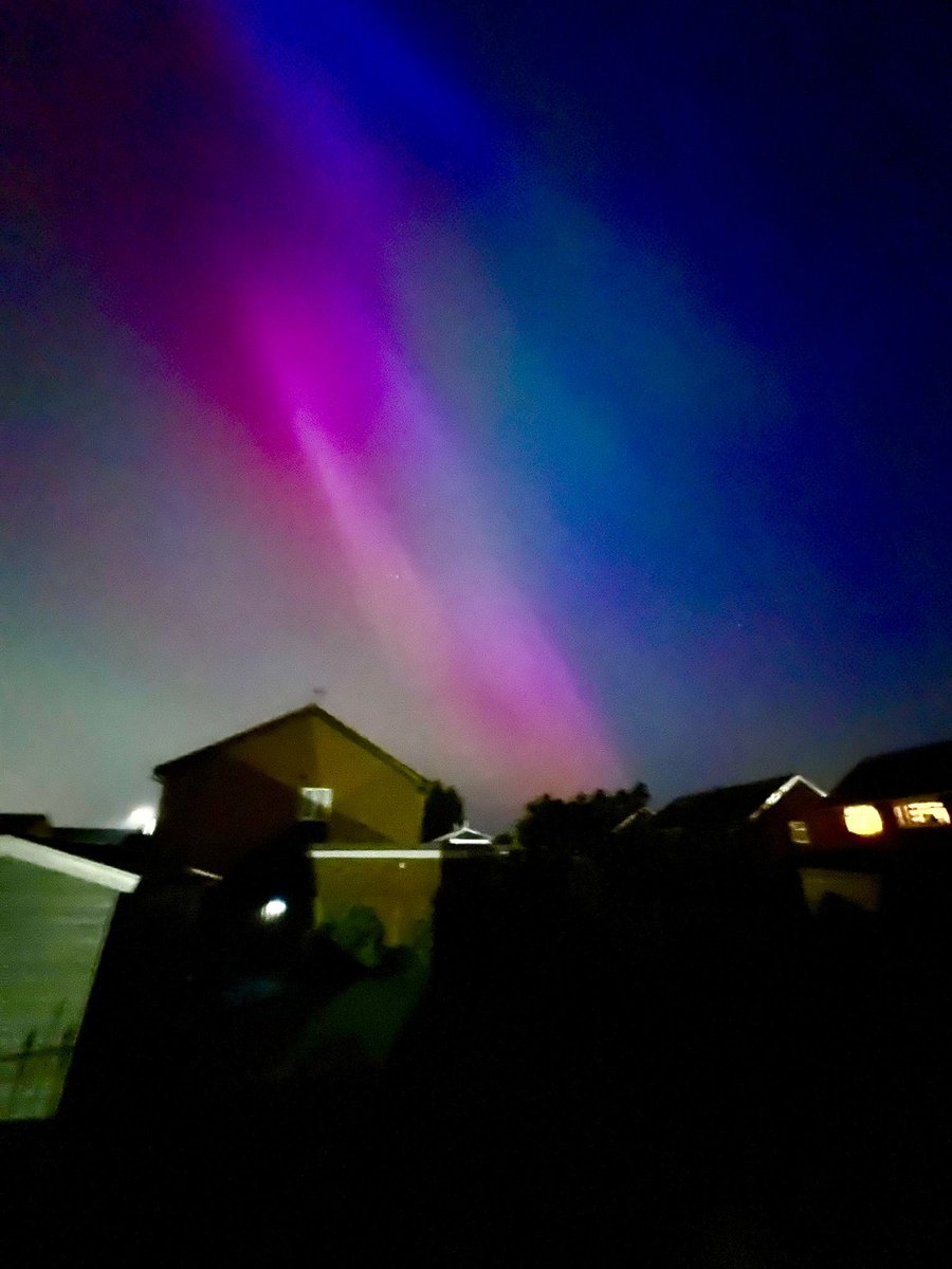 Jamie Dwan tweet media