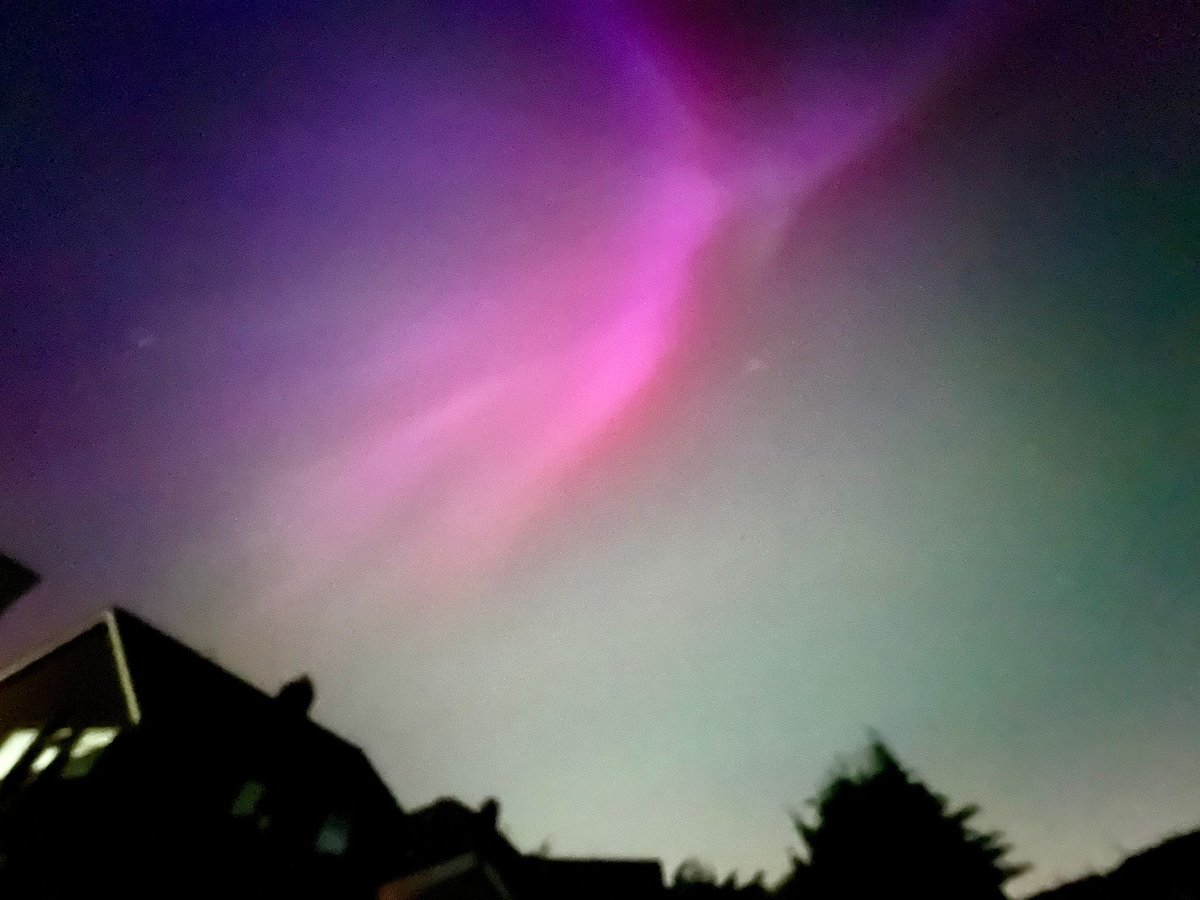 Jamie Dwan tweet media