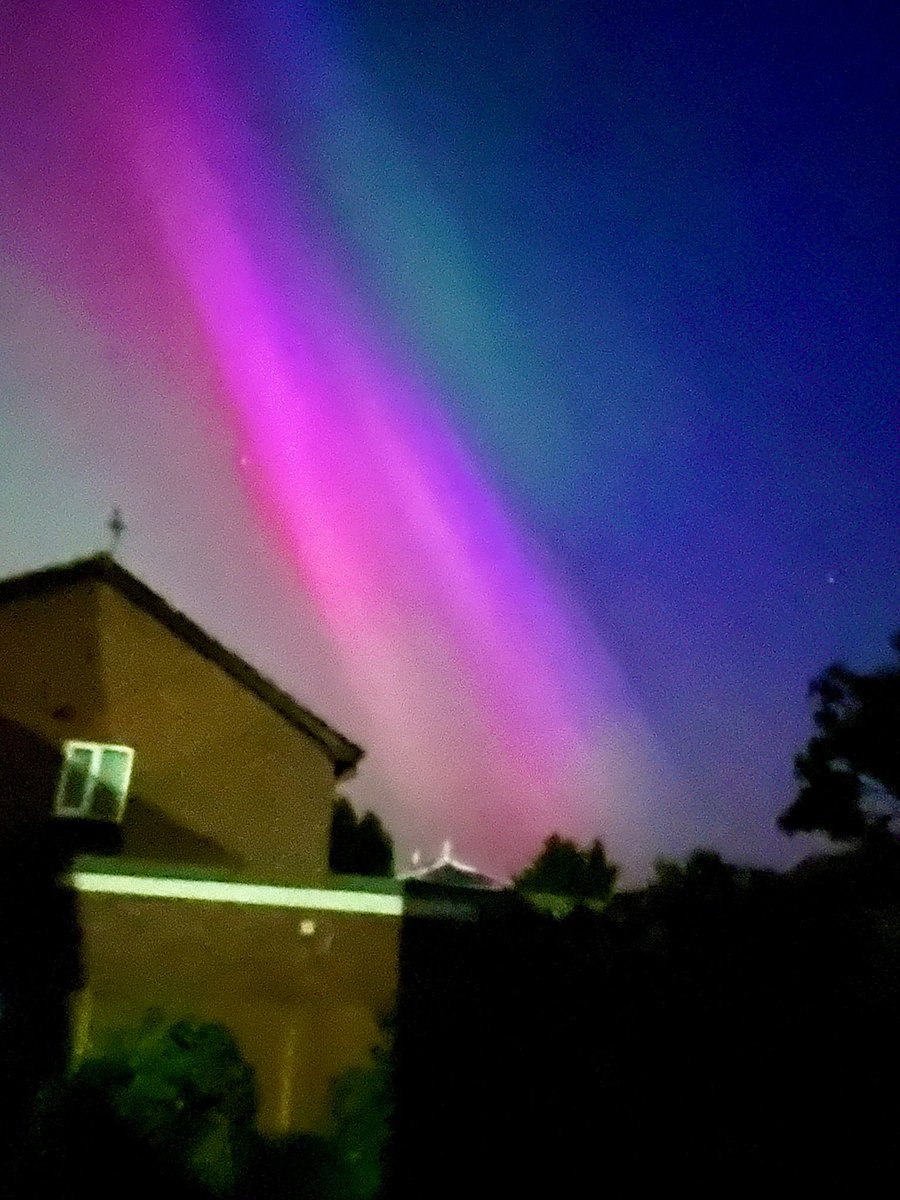 Jamie Dwan tweet media