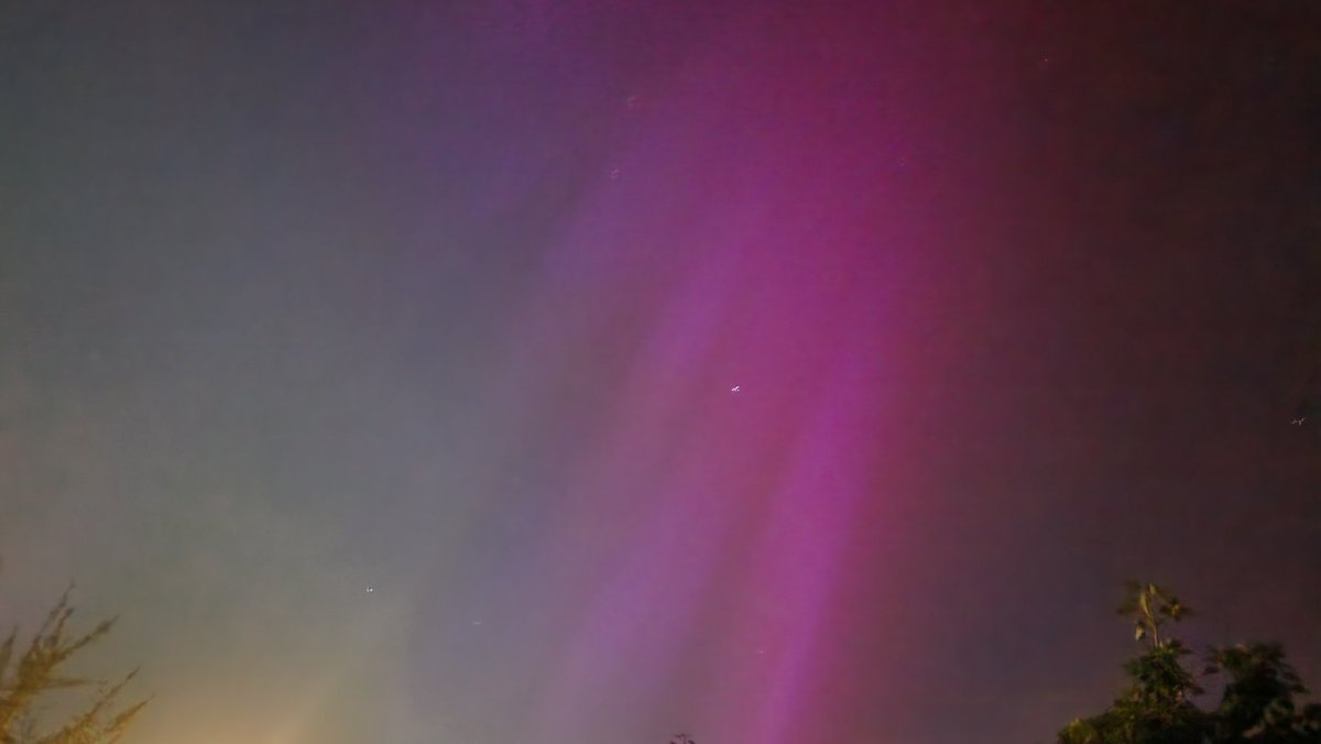 Omg.... I've actually seen them, Northern Lights in Byfleet