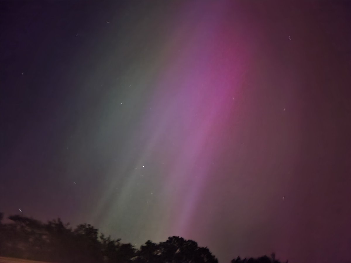 Enjoying the northern light in my back yard is Co. Wexford.