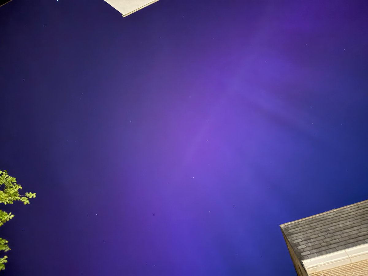 Steven Lemmens tweet media