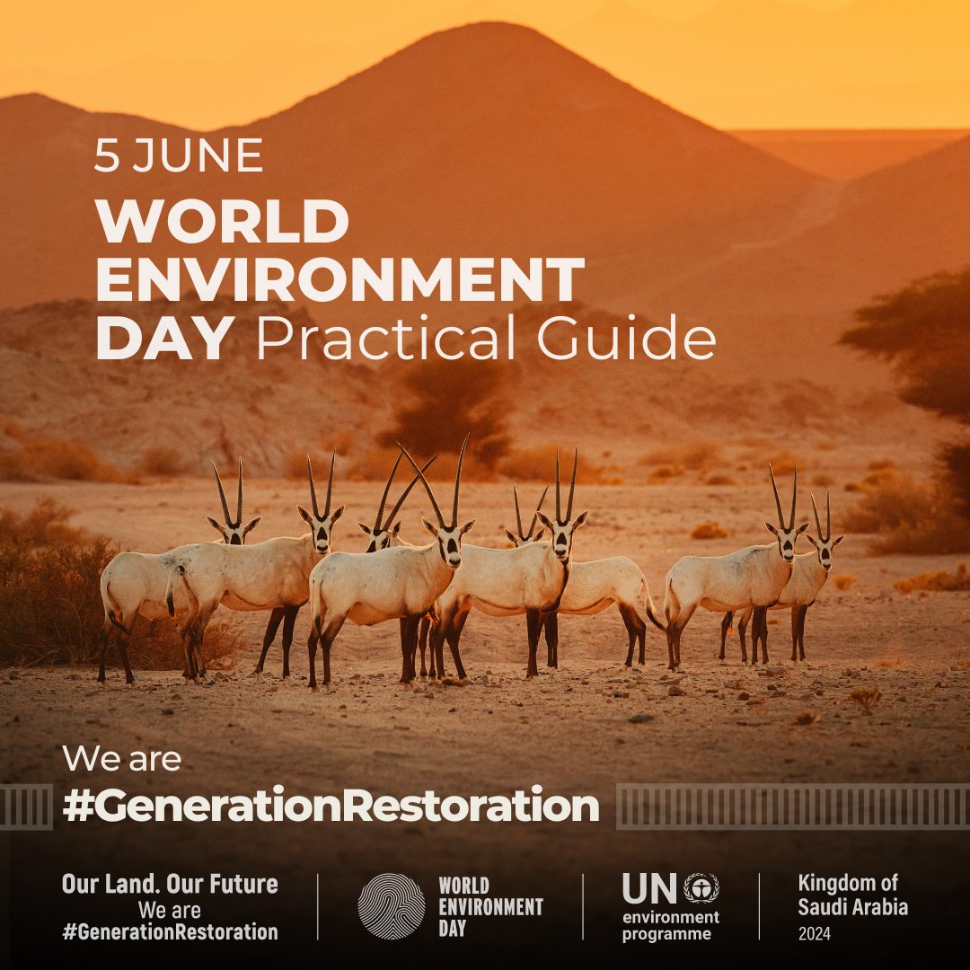 UNEP's tweet photo. Everyone can and should be a part of #GenerationRestoration, including by making smart choices and raising your voice.
This new guide covers how businesses, governments and individuals can take action in lead up to #WorldEnvironmentDay and every day: https://t.co/7G9J6TFxUB https://t.co/DYRR5QkxkP