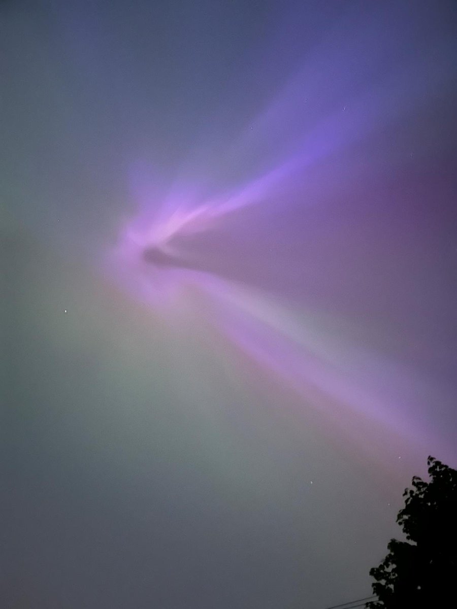 Mags Sanders 💙 tweet media