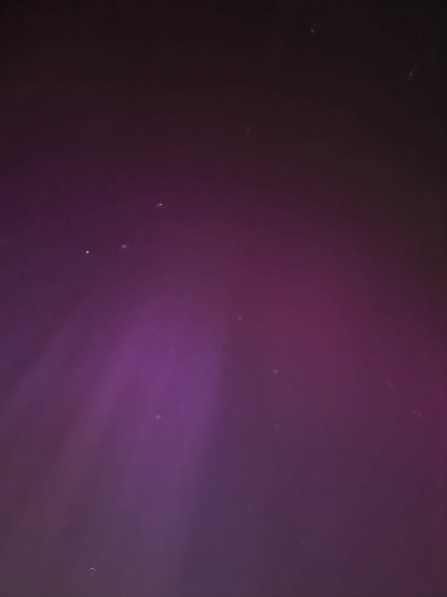 Morgan Crow tweet media