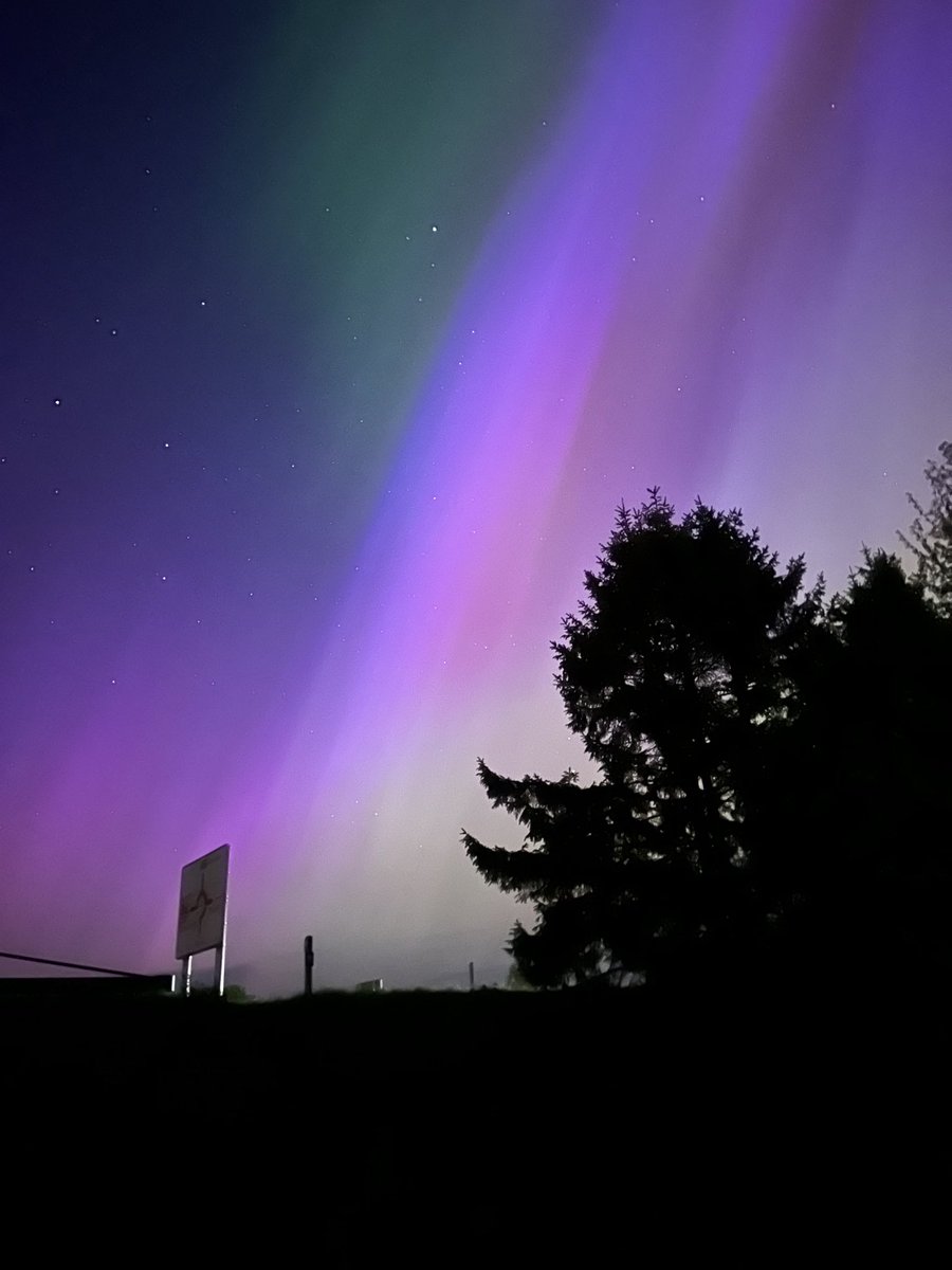 David Tarp tweet media