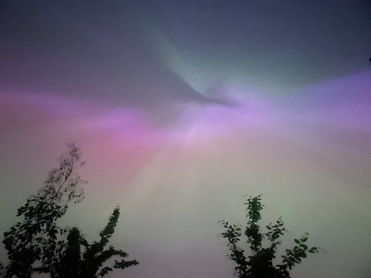 Michelle Hopwood tweet media