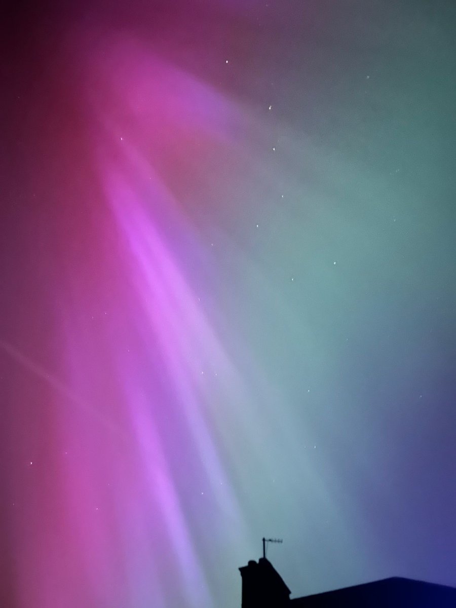 Helena Wardle tweet media