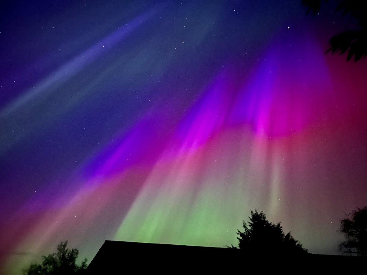 Adam Carnall tweet media