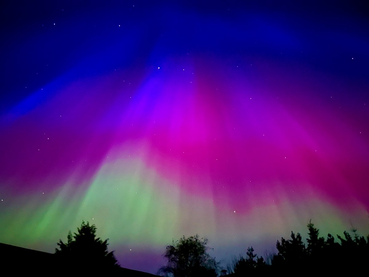 Adam Carnall tweet media