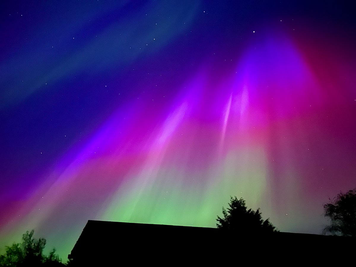 Adam Carnall tweet media