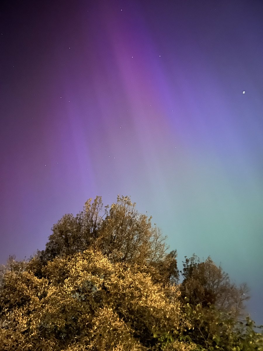 Dominic Codera tweet media