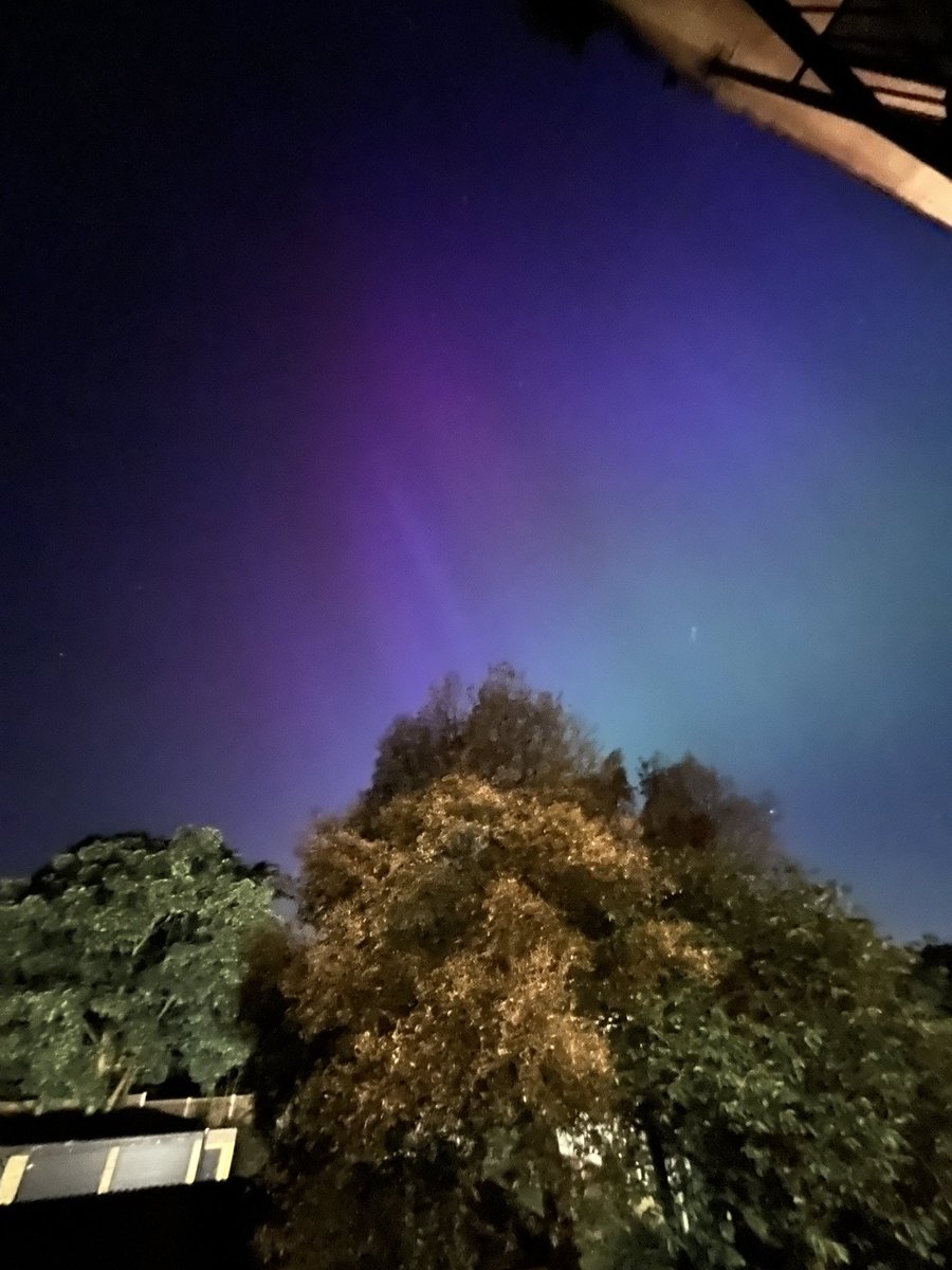 Dominic Codera tweet media