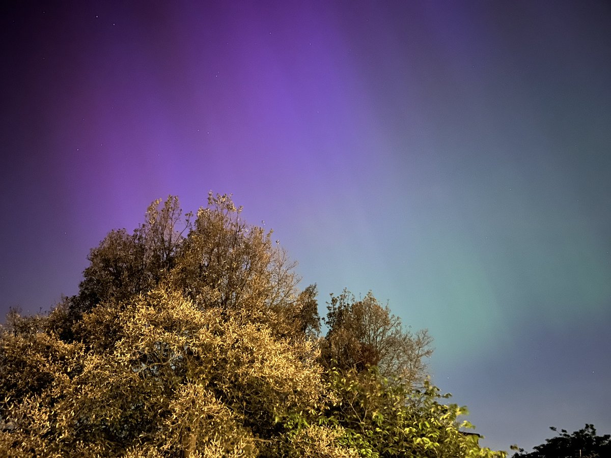 Dominic Codera tweet media