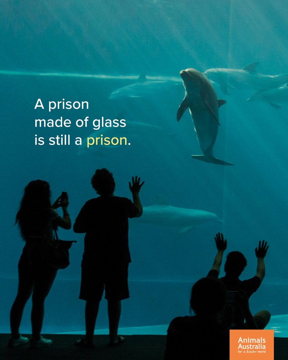 There is no beauty in stolen freedom. #EmptyTheTanks 🐬🐋