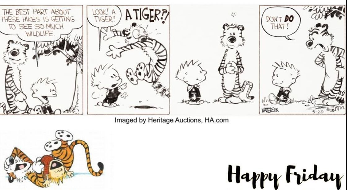 #HappyFriday! What are your weekend plans? #CalvinandHobbes