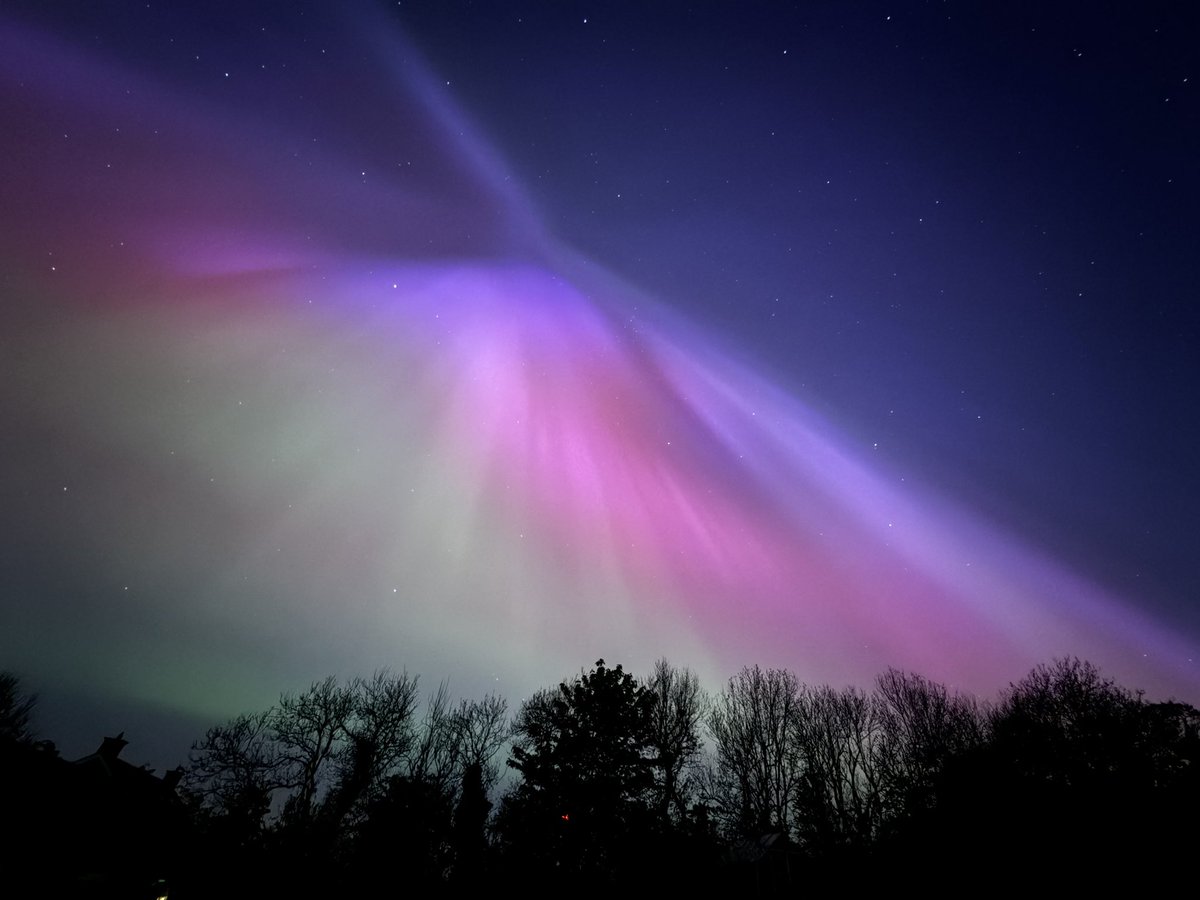 Martin Woodward tweet media