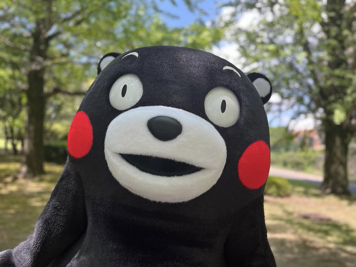 55_kumamon's tweet photo. おはくま～！出かける人も仕事の人も、気を付けていってらっしゃいだモン！ https://t.co/oVoMFwipJ5