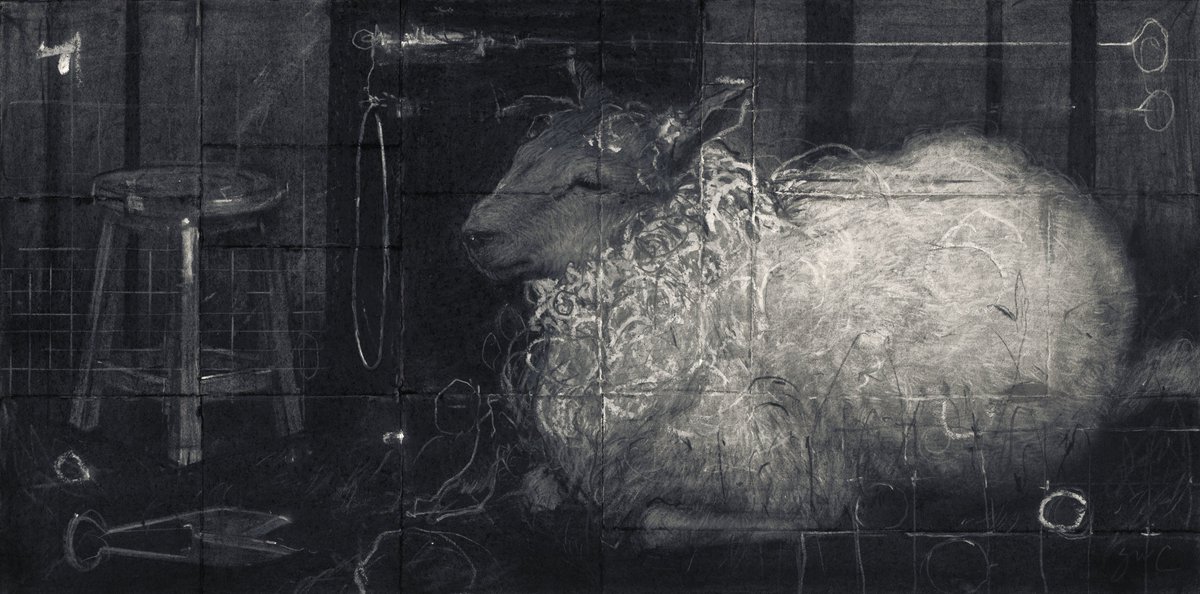 Sam Wolfe Connelly tweet media