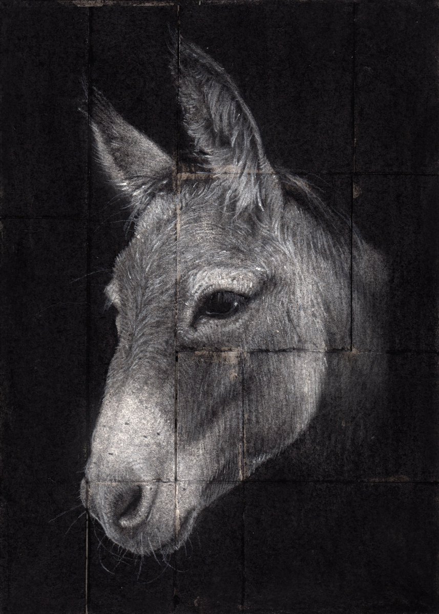 Sam Wolfe Connelly tweet media