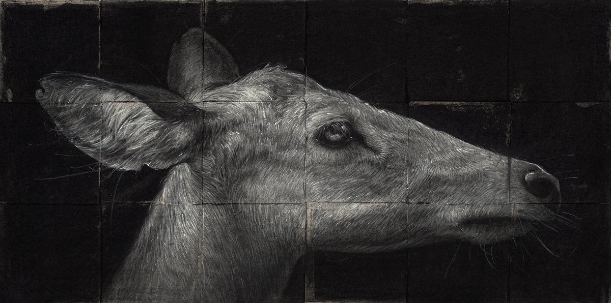 Sam Wolfe Connelly tweet media