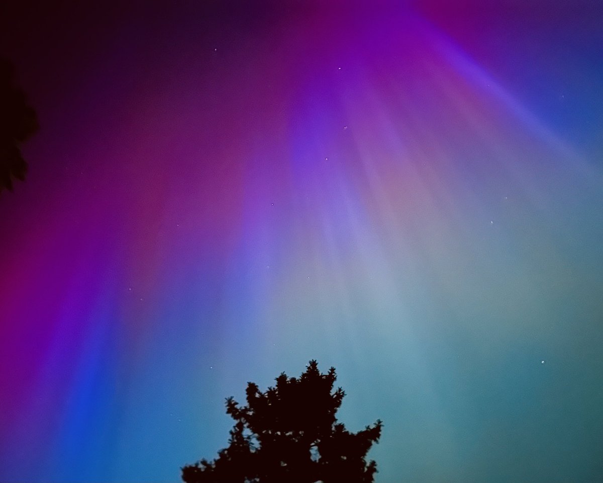 DrJaninaRamirez's tweet image. For those that know me on here, you’ll know I has two things on my bucket list: see a murmuration and the Northern Lights. Achieved one last year a few miles down the road, and tonight I’ve achieved the other from my back garden. I’m overwhelmed….