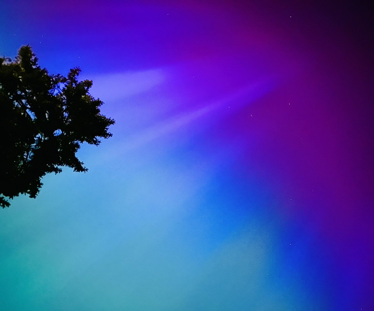 DrJaninaRamirez's tweet image. For those that know me on here, you’ll know I has two things on my bucket list: see a murmuration and the Northern Lights. Achieved one last year a few miles down the road, and tonight I’ve achieved the other from my back garden. I’m overwhelmed….