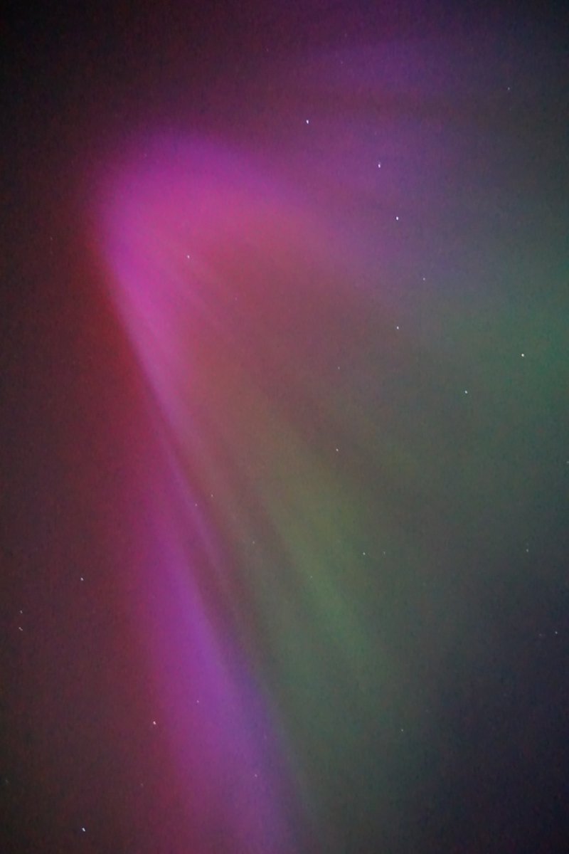 Literally speechless at the #aurora  over the UK right now. Sat in a field taking pictures (and made friends with some hedgehogs). What an evening
