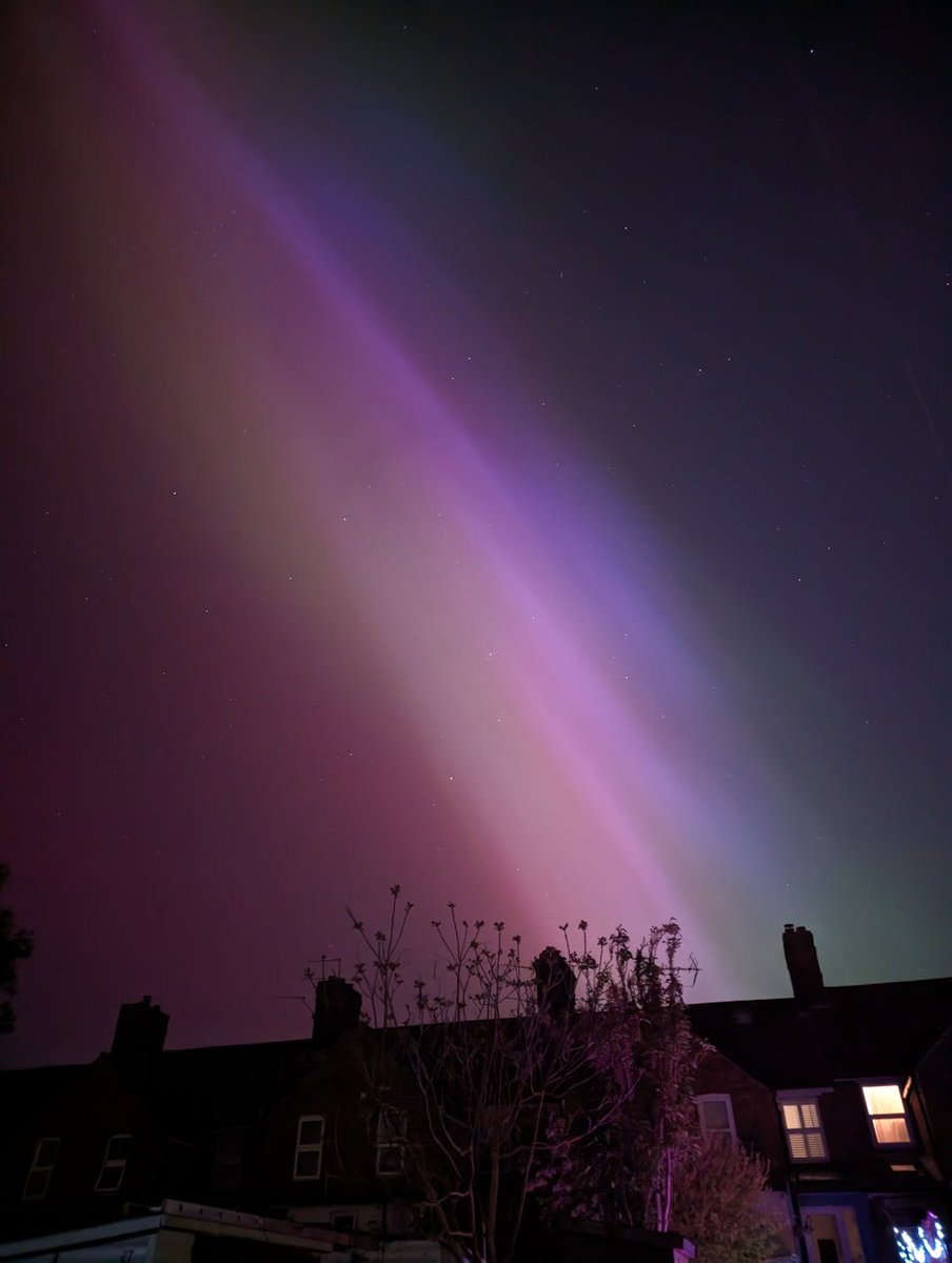 Common Buzzard and Northern Lights in one day...good day for the garden list!