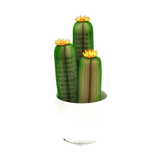 Cactus Book Gift creatoncrafts.com/products/cactu… #CreatonCrafts #mhhsbd #Shopify #BookCactus