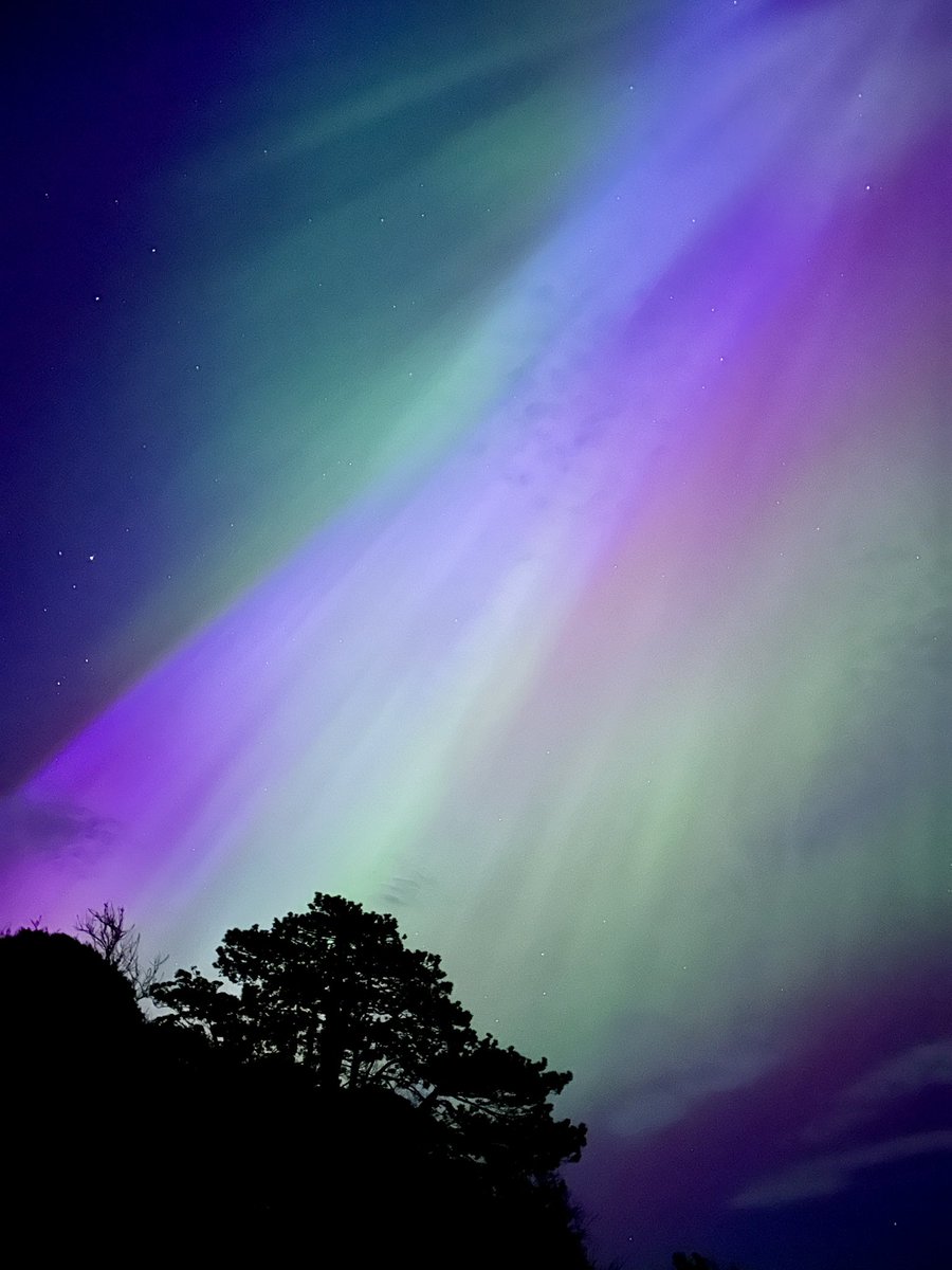 The aurora near Greyabbey, clear purples and greens in the sky and nicely picked up by my phone.