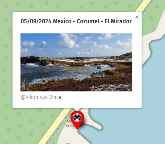 May.  9th  2024 #Mexico #Mexique #Cozumel

Pictures of the day on the map 2024
here : sargassummonitoring.com/en/official-ma…

#sargassum  #sargazo #sargasses #sargassummonitoring #SurveillancedesSargasses #MonitoreodeSargazo #RivieraMaya  #sargassumseaweedtracker #sargassumseaweedupdates