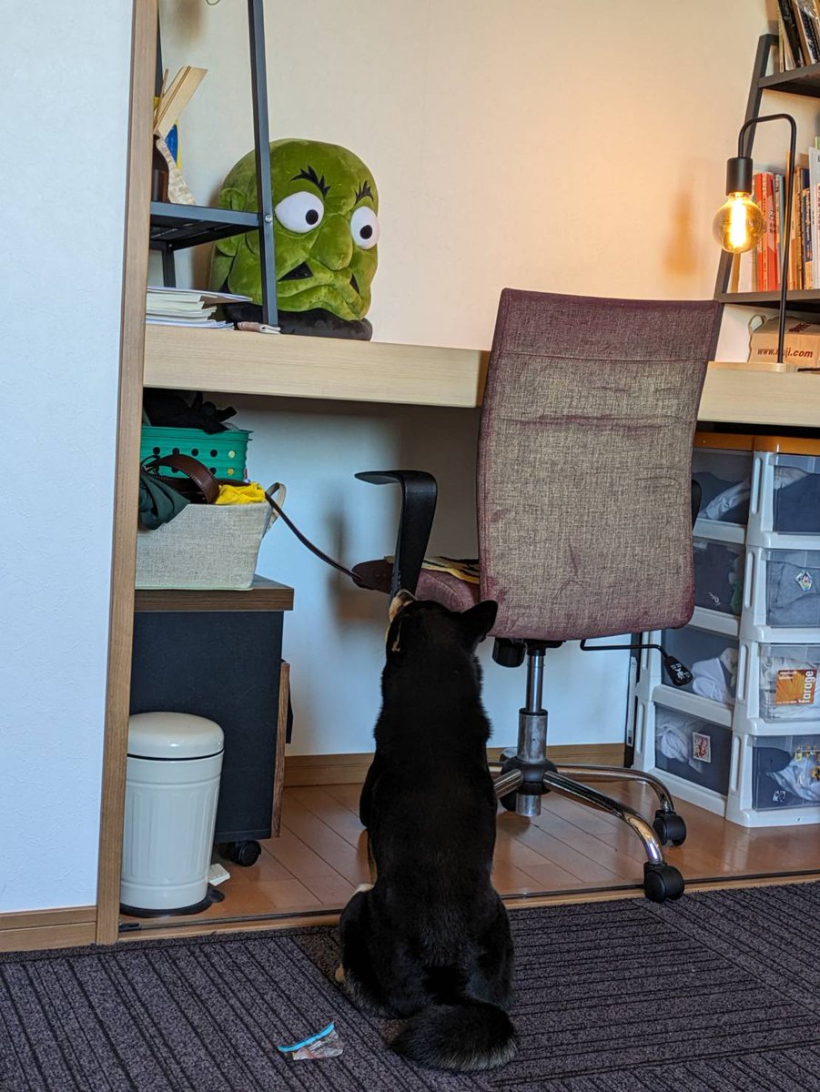 使う人が居ましたら宜しくお願い致します❗ 0922615616はオリコカードの督促電話｜無視のリスクと対応策