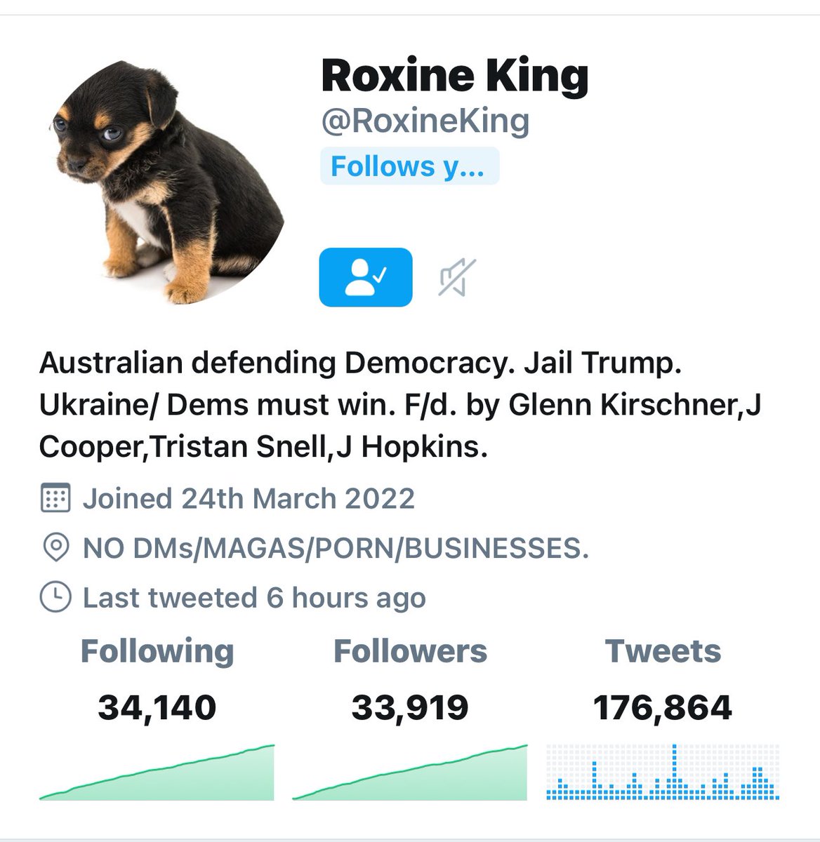 Roxine @RoxineKing is getting close to 34K only 81 away 💙REPOST💙